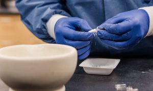 Concordia awarded grant to bolster Youth Apprenticeship pharmacy technician pathways